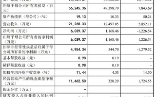 迈新科技股票 每周股票复盘：奥浦迈（688293）2025年Q1营收增长498%