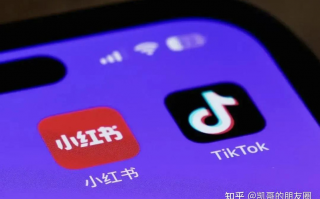 公共英语一软件下载 “TikTok难民”涌入小红书 小红书跃居美区应用商店下载榜首 中国网友评论区请教英语完形填空