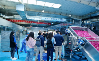 创建生物科技 造物玫瑰！生物科技梦工厂走向“光明”
